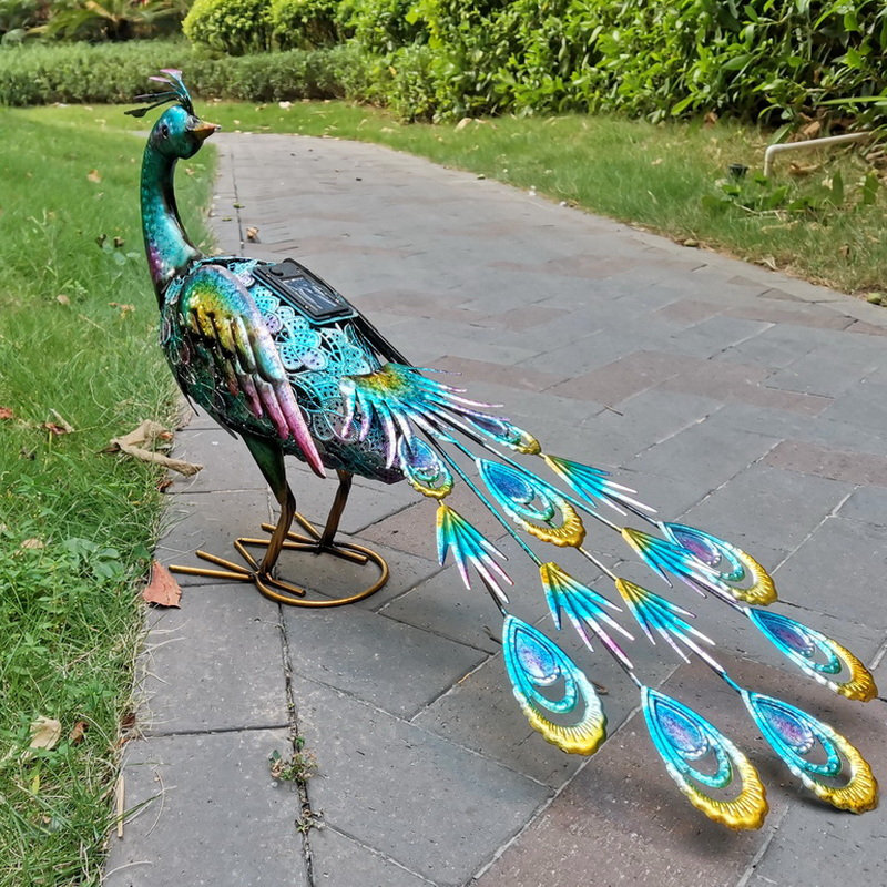 Paon 22 po avec lumière