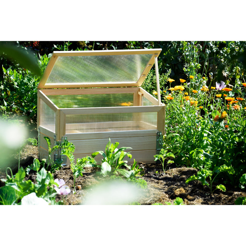 Aakira 1.5 Ft W x 2.5 Ft D Cold Frame