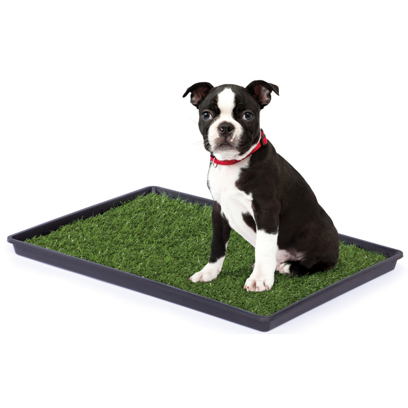 Nicolas Turf, Petit (H 1,25 po x l 16,13 po x P 22,88 po)