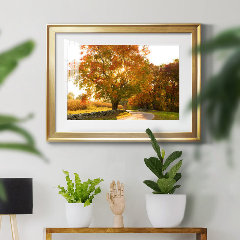 Maple Tree Drive - Single Picture Frame Photograph, Gold Framed, 26.5" H x 36.5" W x 1.5" D