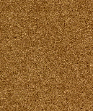 Starlight Fabric