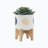 Wynand Ceramic Pot Planter