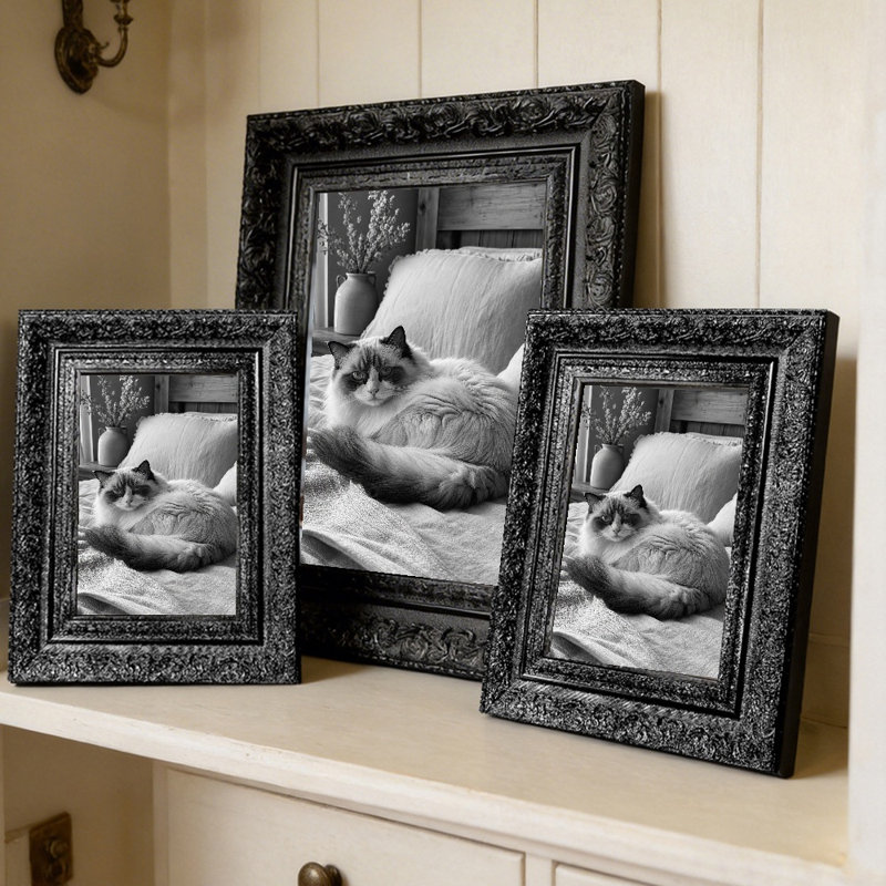 Cadre 1 photo noir orné 5 "x 7" avec support de table et crochets muraux, Black, 1, 5" W x 7" H