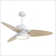 Light Pro In. LED Indoor Smart Ceiling Fan With Remote Control