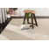 Goddess Area Rug in Begie