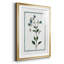 Shabby Elegance Botanical II, reproduction encadrée de qualité supérieure - prête à être accrochée-1427717070-1427717058