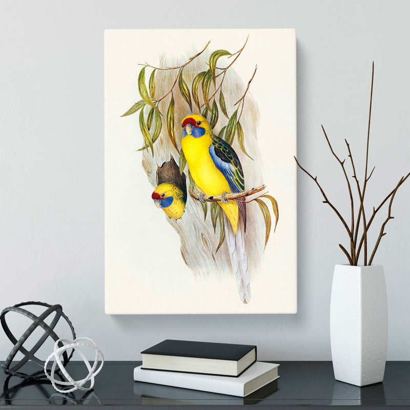 Yellow-Bellied Parakeets by Elizabeth Gould - Wrapped Canvas, 50cm H x 35cm W x 3cm D
