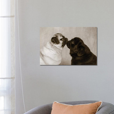 Pooch Smooch by Jim Dratfield - Wrapped Canvas Gallery-Wrapped Canvas Giclée
