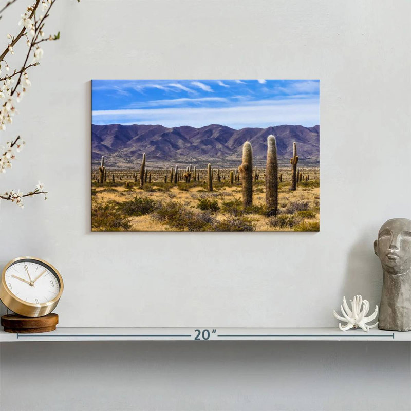 Harnek Los Cardones Cactus, 8" H x 12" W