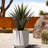 Mason Series Kona Planter-57370071-69930339-69930340