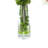Orchid Arrangement with Vines