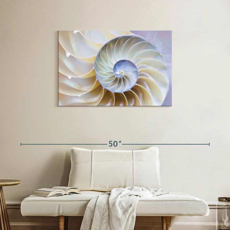 Empty Nautilus Shell, 24" H x 36" W