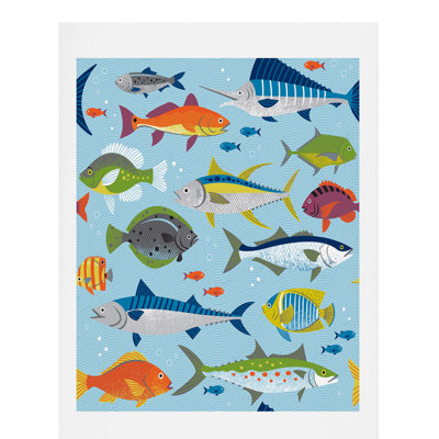 Fish Frenzy, impression