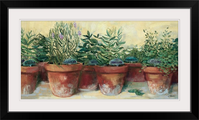 «Pots Herbs» par Carol Rowan - impression, H 23 po x l 38 po x P 1 po, Cadre noir