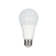 100 Watt Equivalent A19 E26/Medium (Standard) LED Bulb