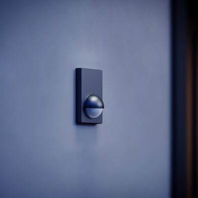 Motion Sensor IS 180-2 PIR Wall Mount 12 m Reach Adjustable 1000 W