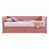 Rose est en rupture de stock