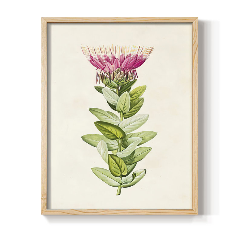«Pretty Pink Botanicals IV», reproduction encadrée - bois massif, H 30 po x l 24 po, Naturel