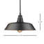 Luminaire suspendu d'extérieur 1 lumière Aleydis