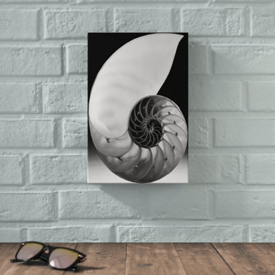 Shell I - Graphic Art Print