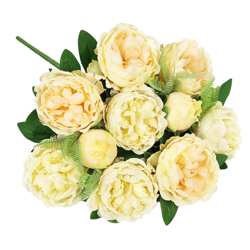 Tiges de pivoines, Champagne ivoire