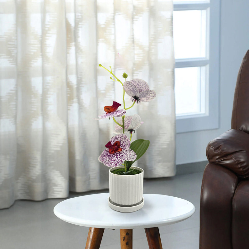 Navarius Hydrangea Arrangement in Vase