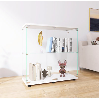 Two-door Glass Display Cabinet With 2 Shelves And Door, Floor Standing Curio Bookshelf -  Ebern Designs, 6DA8073BB31D49F292BA193C71E1AEA5