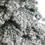 Sapin de Noël enneigé 7 po avec 400 lumières DEL