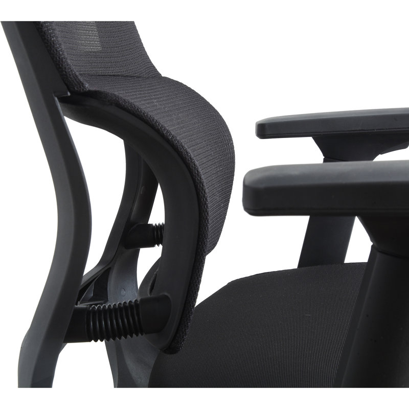 ErgoFlex High Back Mesh Swivel Chair with Adjustable Arms, Black