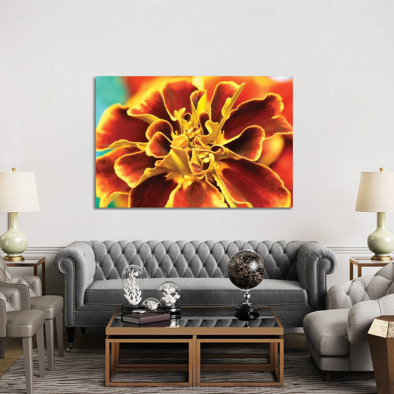 Calendula - Wrapped Canvas Print, 152.5 cm H x 101.5 cm W