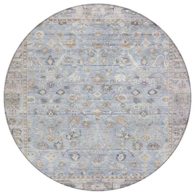 Machine Washable Indoor/Outdoor Xhevrie Sky Rug