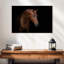 Brampt A Horse-107697256
