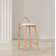Bartolomea Upholstered Counter Stool with Solid Wood Frame