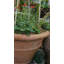 Balhi Fibreglass Planter-14486398