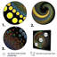 Iridiscdent pointillism spiral sur toile-863284481-863284482