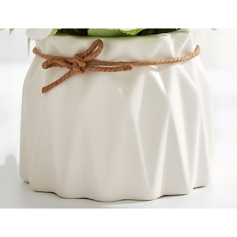 Ensemble d'assortiments mixtes en pot