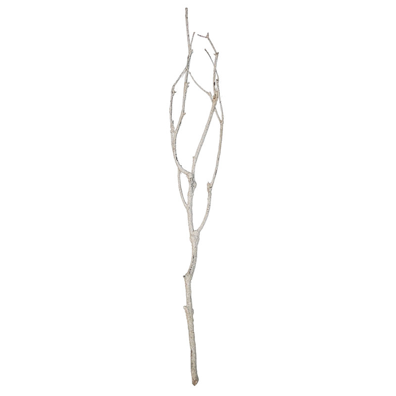 Branch Décor - Set of 4 - Cream