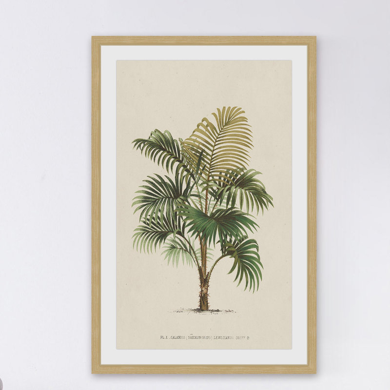 "Les Palmiers IV", reproduction encadrée, H 18 po x l 12 po x P 1,5 po