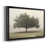 Black Framed selected