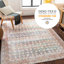 Oriental Area Rug-1671716381