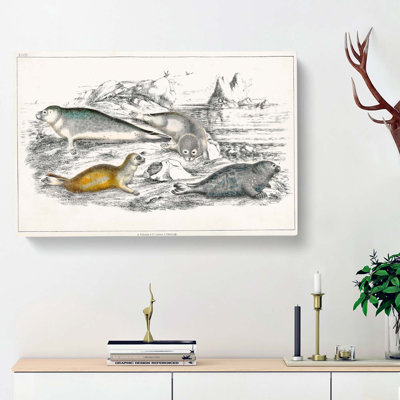 Various Seals XLVII by Oliver Goldsmith - Wrapped Canvas Painting