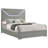 Pierce Grey High Gloss Queen Panel Bed LED Headboard