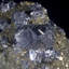 Galena on Pyrite - Mine Naica, Mexique