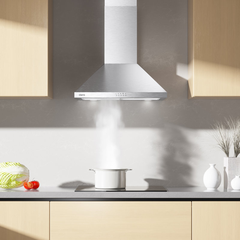 Jeremy Cass LLC 24" Stainless Steel 450 CFM Ducted (Vented) Wall Range Hood