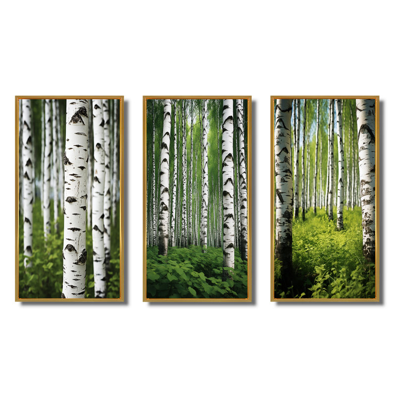 «White Green Birch Tree Whispers», 3 pièces sur toile, Toile tendue, H 20 po x l 36 po