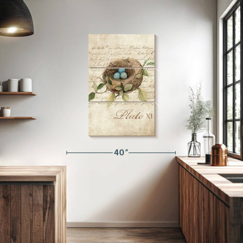 Brampt Bird Nest Study