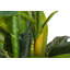 160cm Faux Banana Leaf Plant in Pot