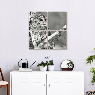 Hibou blanc Brampt BW
