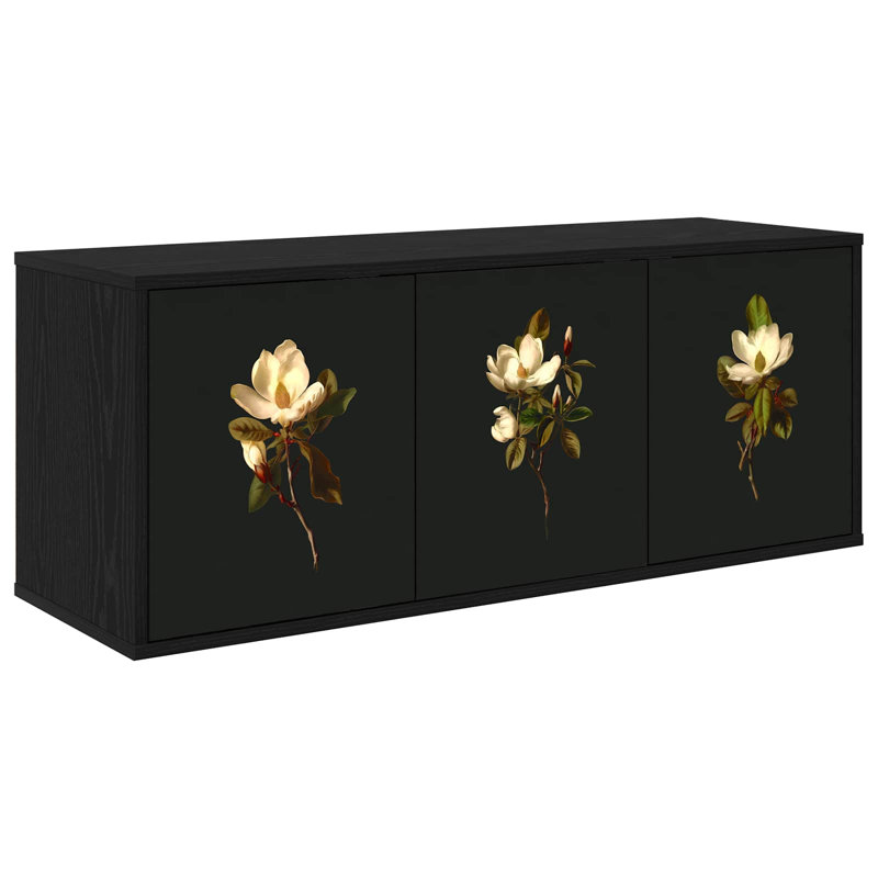TV Stand for TVs up to 43", Black Oak
