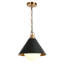 Suspension Tilda à lumière en verre givré, style moderne noir et or, à intensité variable, idéale pour îlot de cuisine.